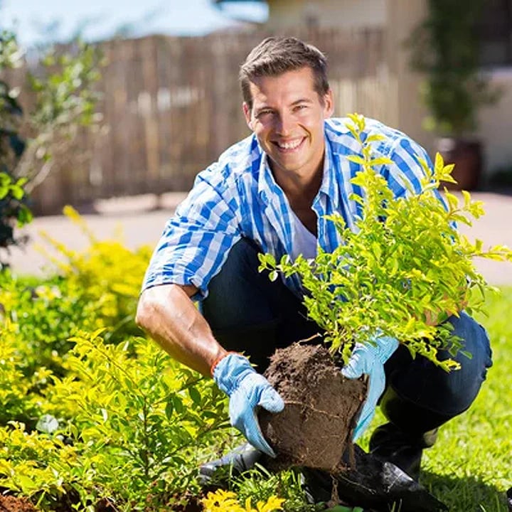 TerraThrive - Unlock Your Soil, Unleash Your Garden - 50% OFF - Image 8