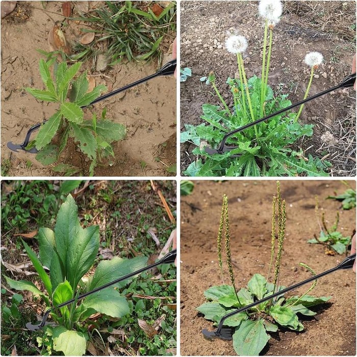 The TerraClaw - Effortless Weeding, No More Sore Back - 50% OFF - Image 3